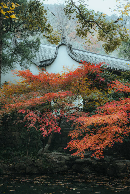 Осень в парке в Ханчжоу - Дмитрий Осень в парке в Ханчжоу - Дмитрий