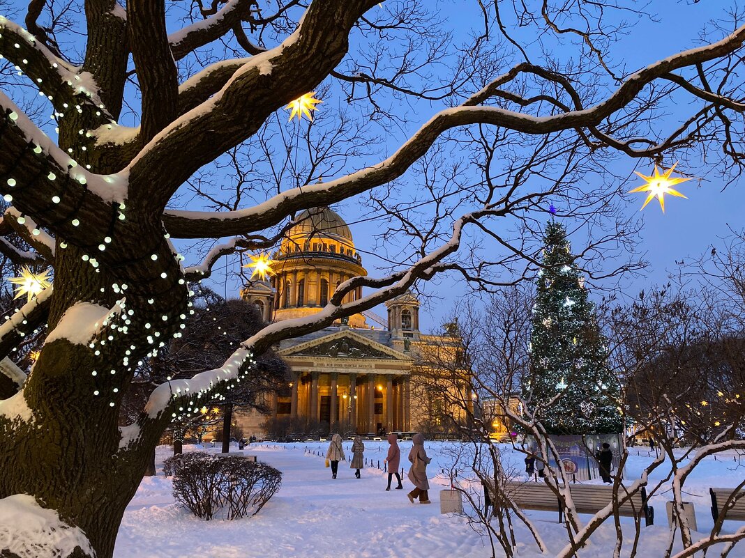Новогодний Исаакиевский Сквер - Aida10 Новогодний Исаакиевский Сквер - Aida10