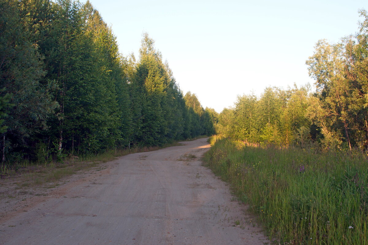 Прогулка по окресностям. - ВикТор Быстров Прогулка по окресностям. - ВикТор Быстров