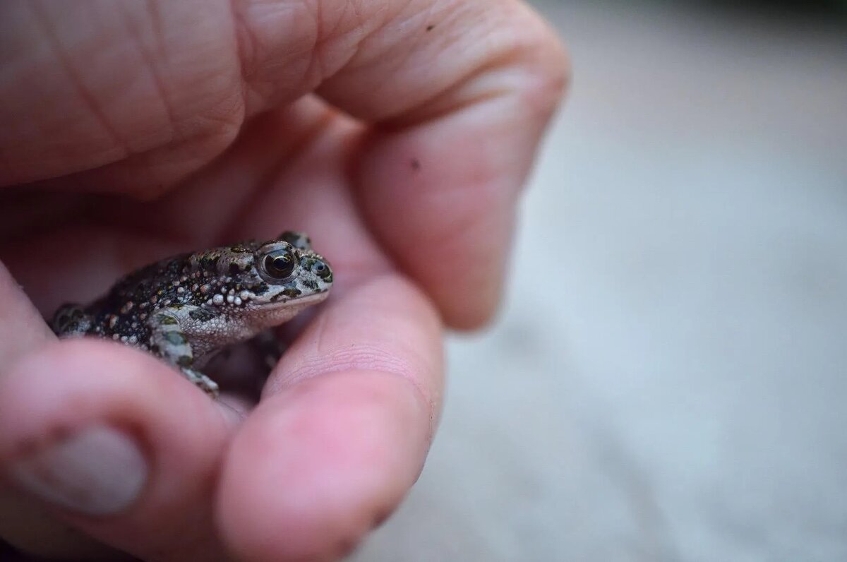 Я не боюсь - Лена Я не боюсь - Лена