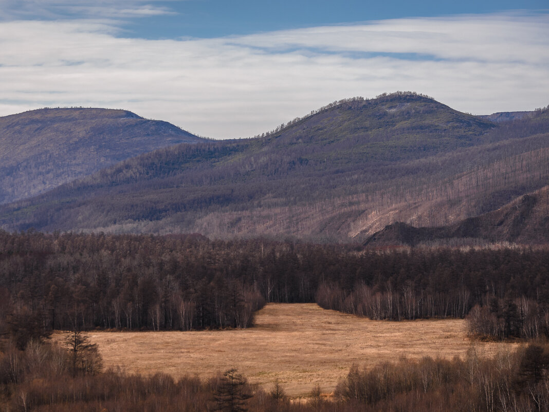 ... - Жора Житников