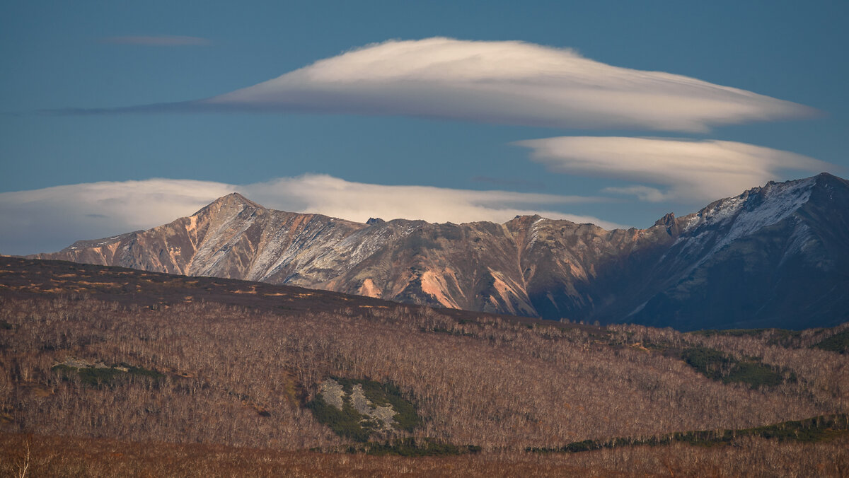 ... - Жора Житников ... - Жора Житников