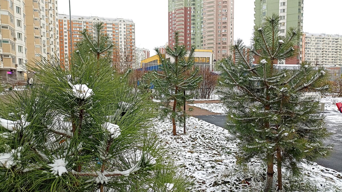 Зима пришла - Татьяна Тюменка