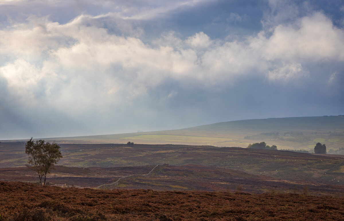 Осеннее небо - Алекс Римский