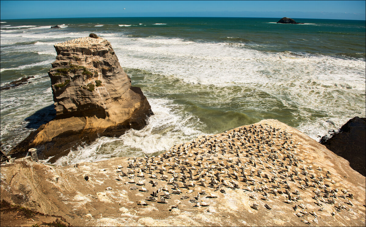 Новая Зеландия. - Aleks Lebedev