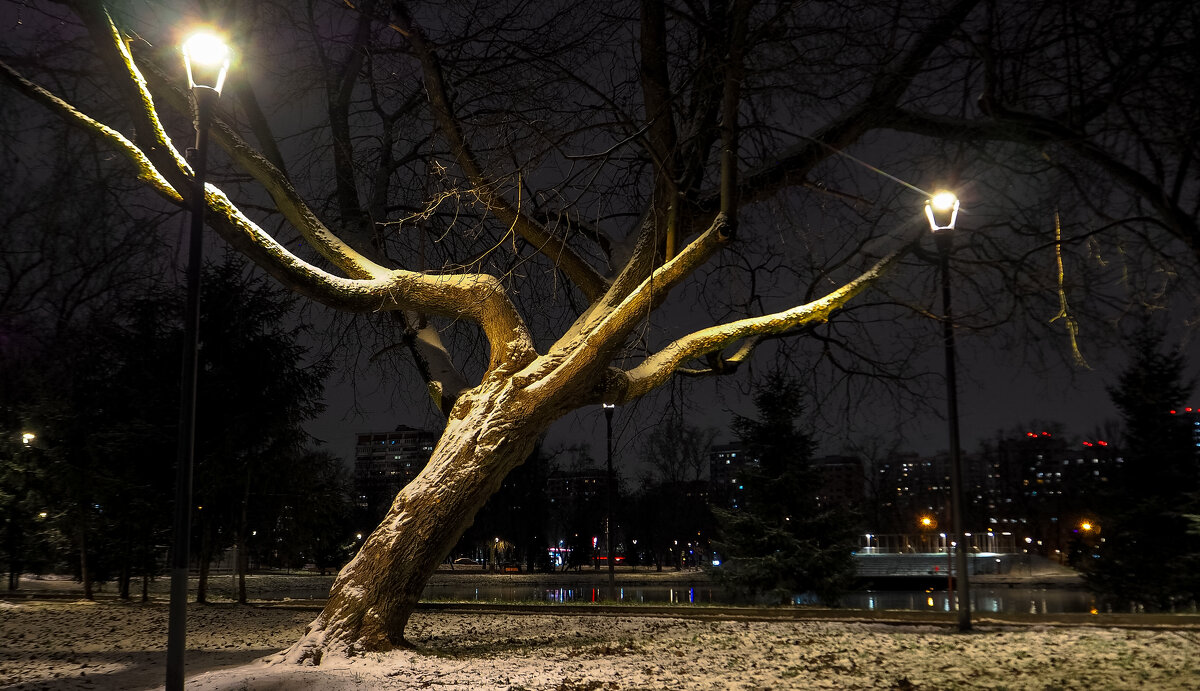 Вечрний Город - юрий поляков