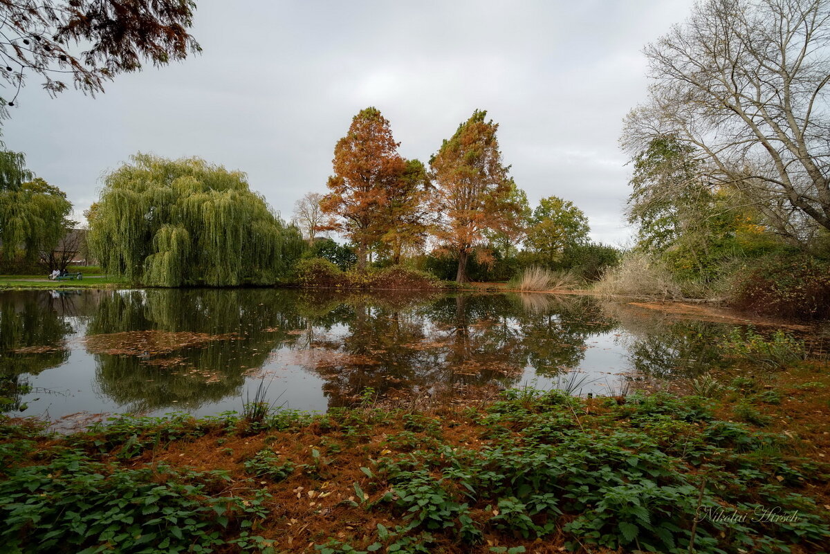 Время увядания... - Николай Гирш