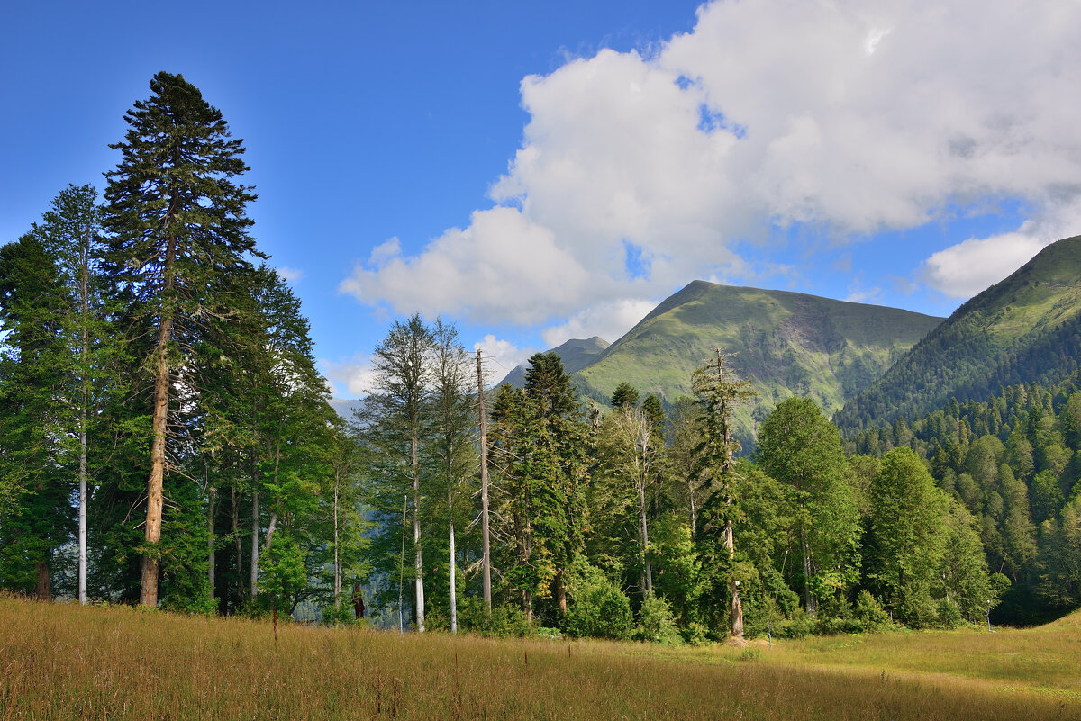 *** - Александр Хаецкий