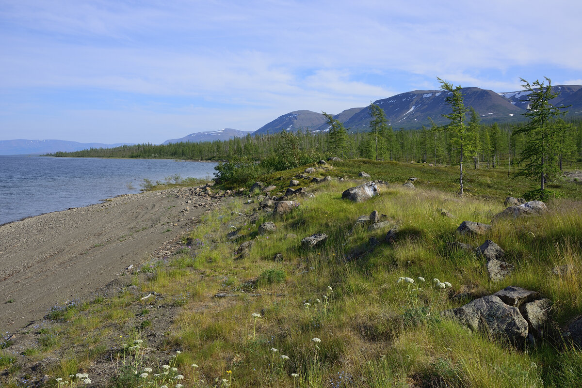 *** - Александр Хаецкий *** - Александр Хаецкий