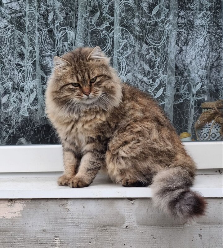 Утренний портрет - Наталья 