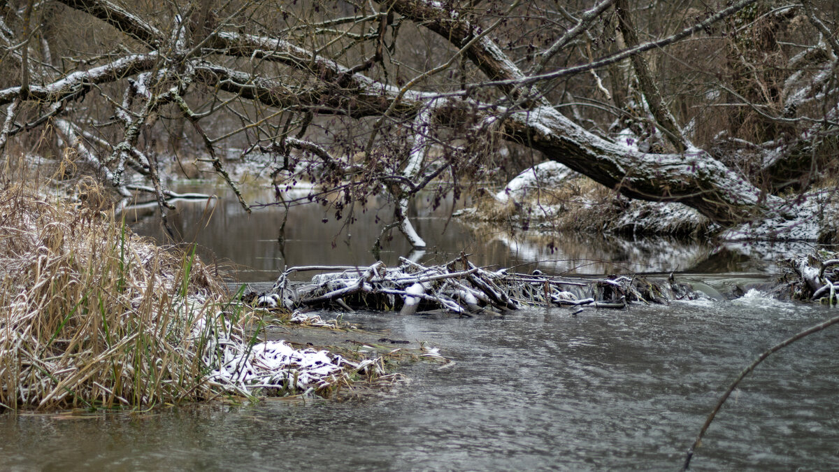 Над речушкой - sorovey Sol