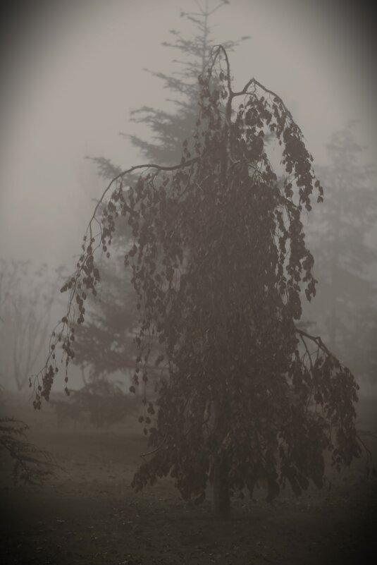 Оно идет на меня! - Юрий Полторыхин.