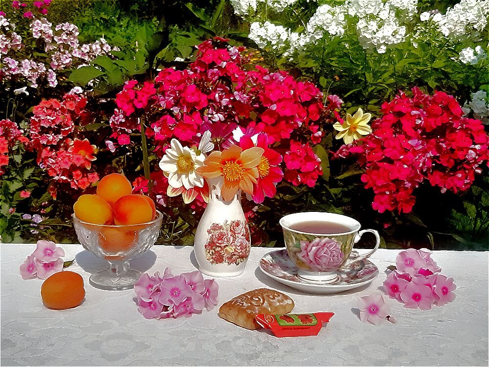 Лето красное! - Нина Андронова Лето красное! - Нина Андронова