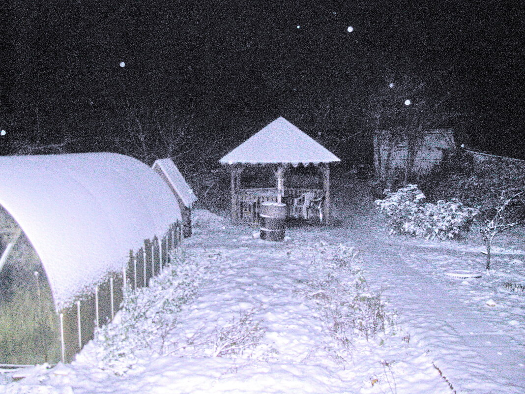Вот и зима пришла - Людмила Смородинская Вот и зима пришла - Людмила Смородинская