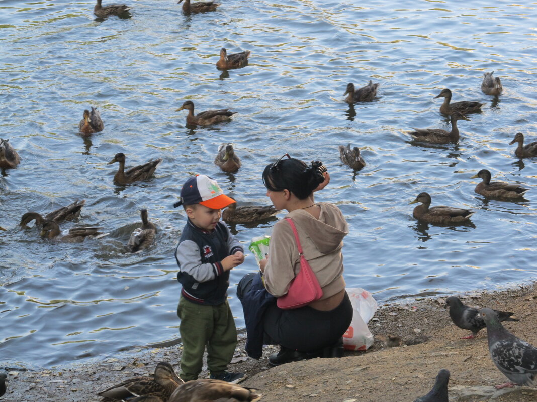это любовь - Елена Шаламова это любовь - Елена Шаламова