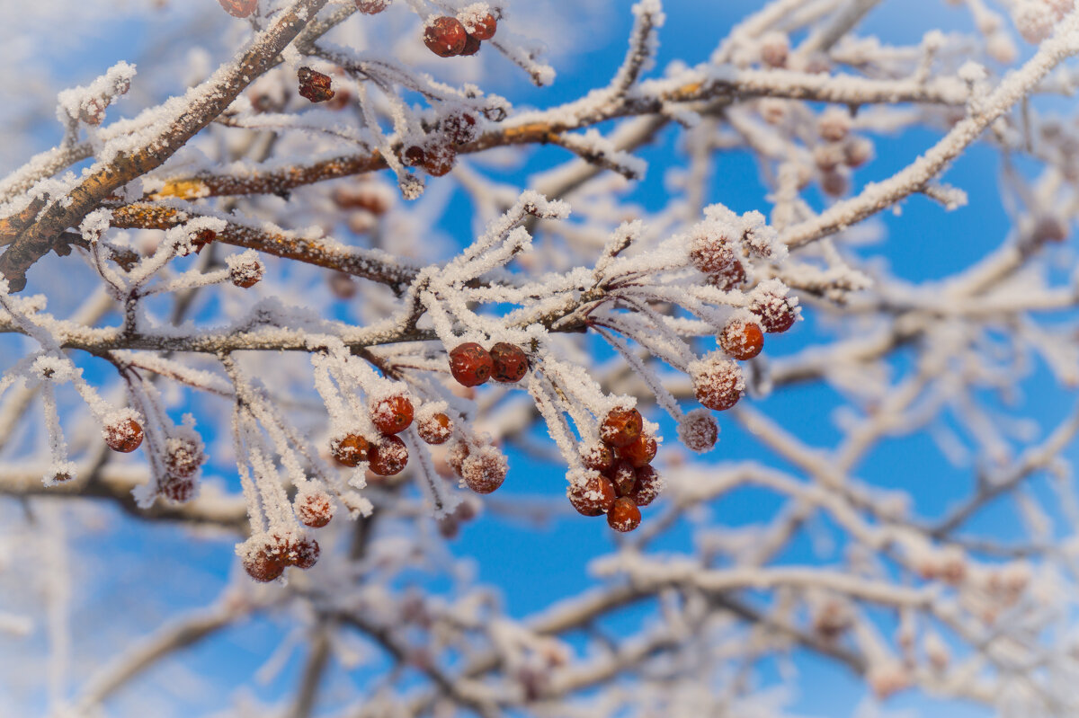 *   *   * - Уже не важно 