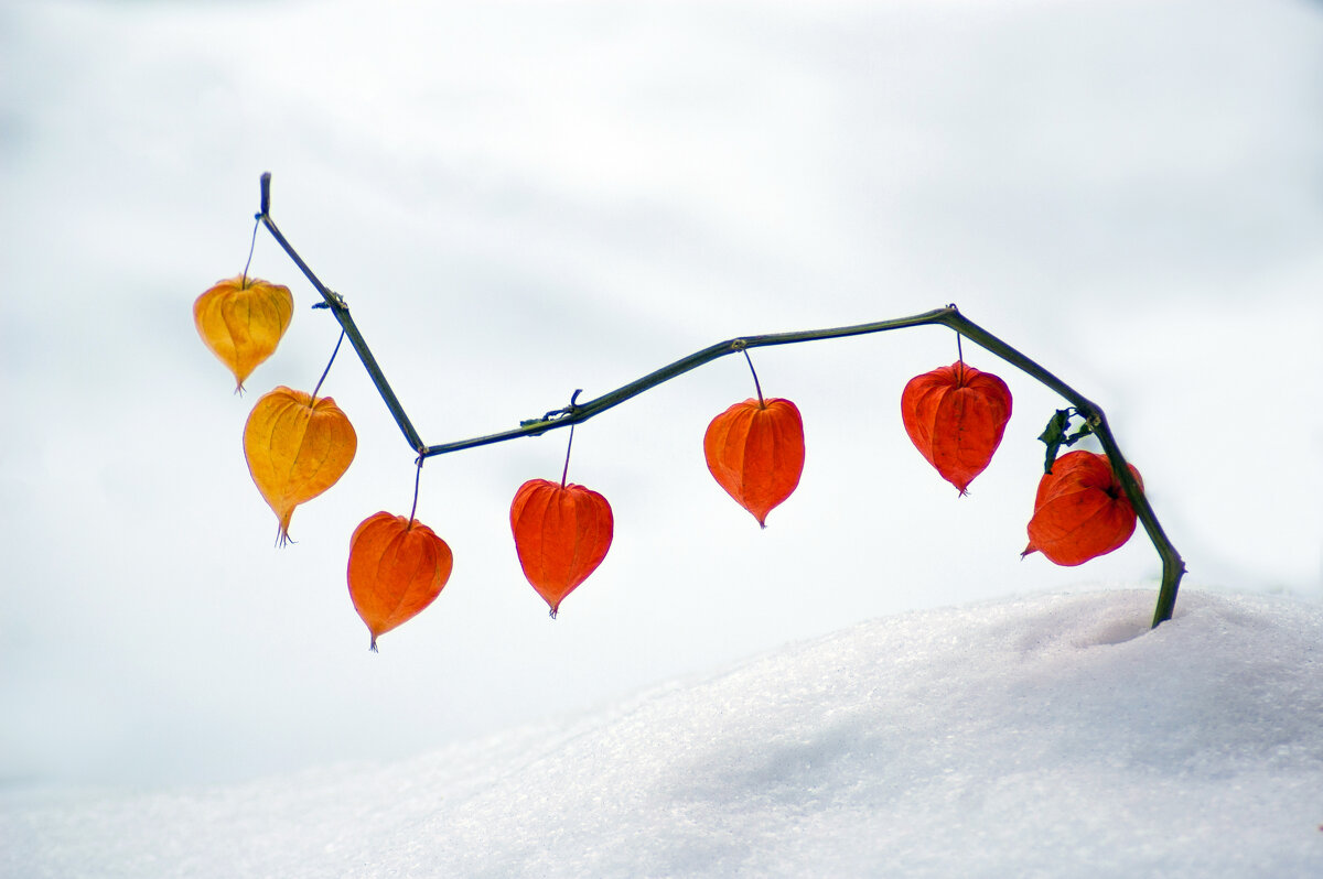 *   *   * - Уже не важно 