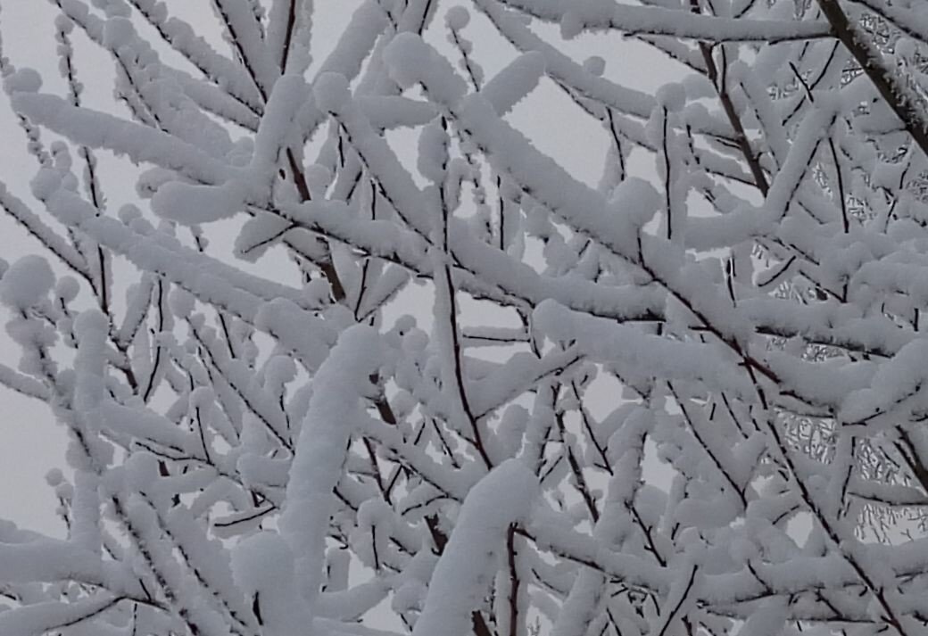 Зима - Serega SchütZ