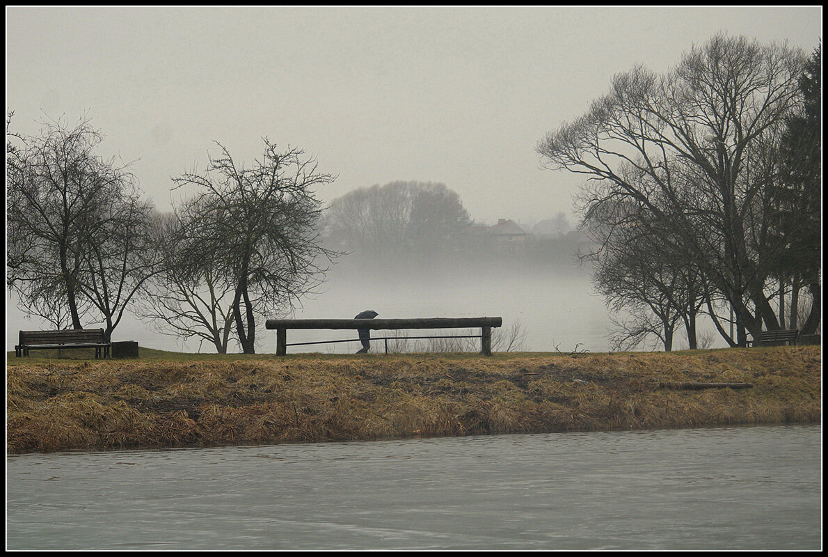 **** - Aleksandr Gal **** - Aleksandr Gal