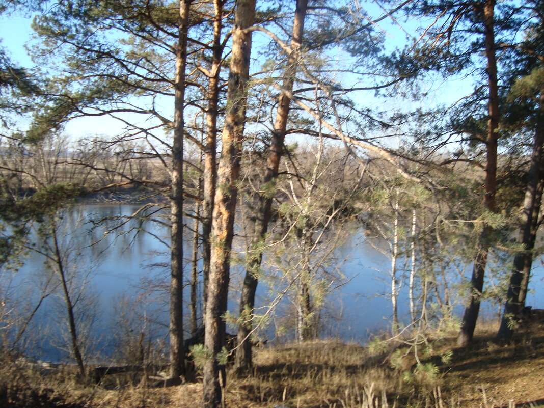 по осени синеют вода и небеса... - Галина Флора по осени синеют вода и небеса... - Галина Флора