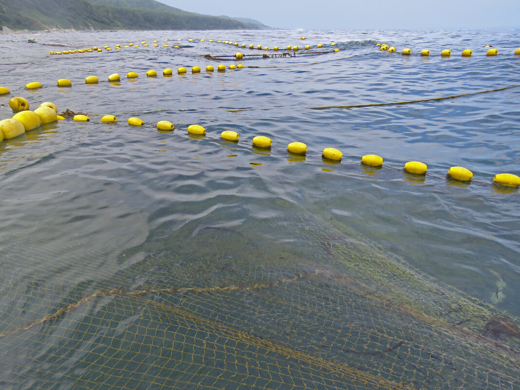 сети... - ИРЭН@ . сети... - ИРЭН@ .