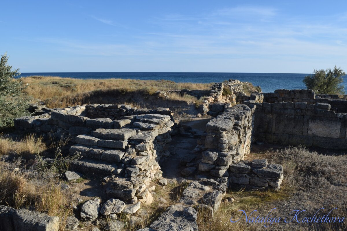 Природа Крыма - Amazing Cosmea