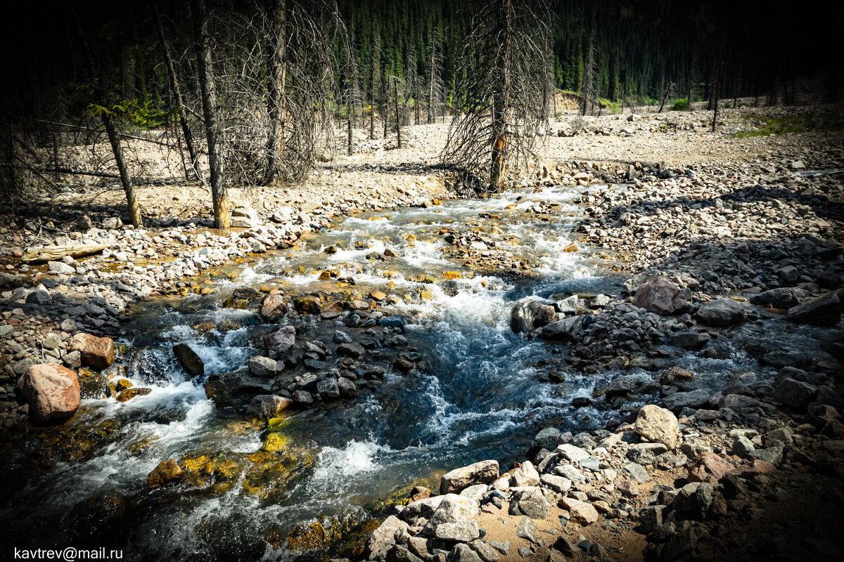 БАО - HART BAD БАО - HART BAD