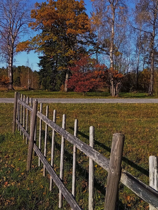 Штрихи октября .. - Татьян@ Ивановна