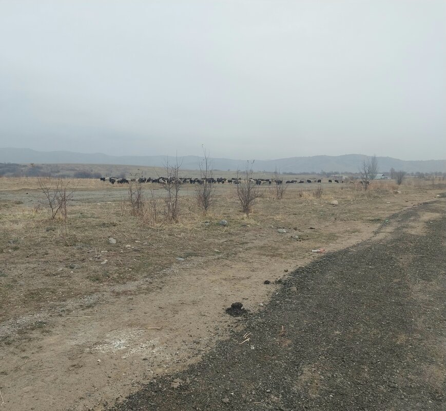 Talgar. - Murat Bukaev 