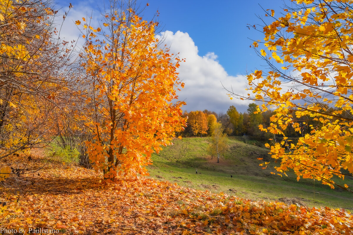 Октябрь в Царицыно... - Владимир Жданов