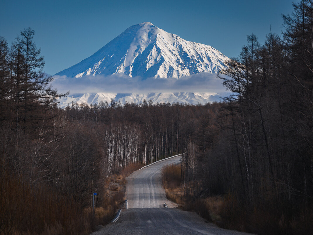 ... - Жора Житников