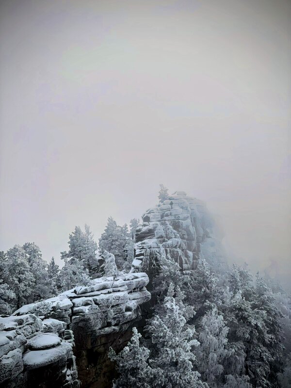 Декабрь - Георгиевич Декабрь - Георгиевич