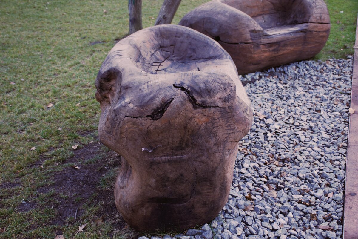 Портрет в дереве. - Юрий Полторыхин. Портрет в дереве. - Юрий Полторыхин.