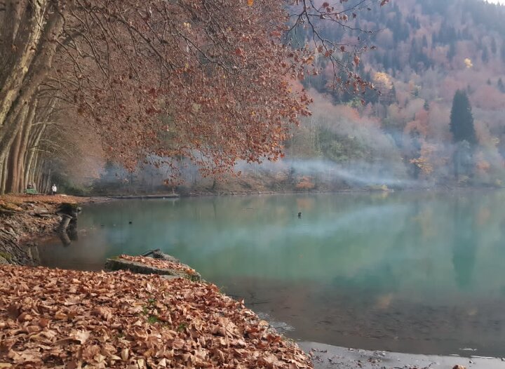 РИЦА. АБХАЗИЯ - Tata Wolf РИЦА. АБХАЗИЯ - Tata Wolf