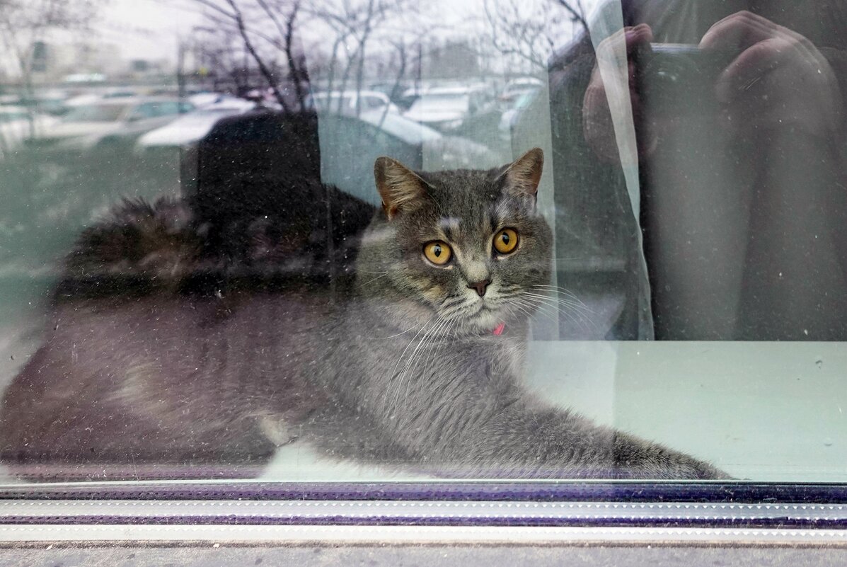 За окном - Валерий Иванович За окном - Валерий Иванович