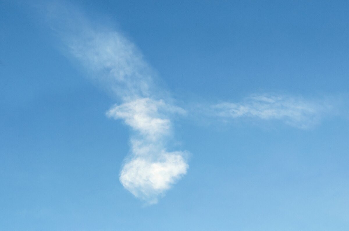 Небесная птичка - Виктор Иванович Чернюк Небесная птичка - Виктор Иванович Чернюк