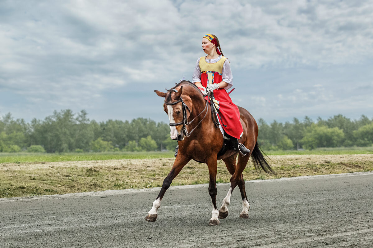 Выездка - SanSan 