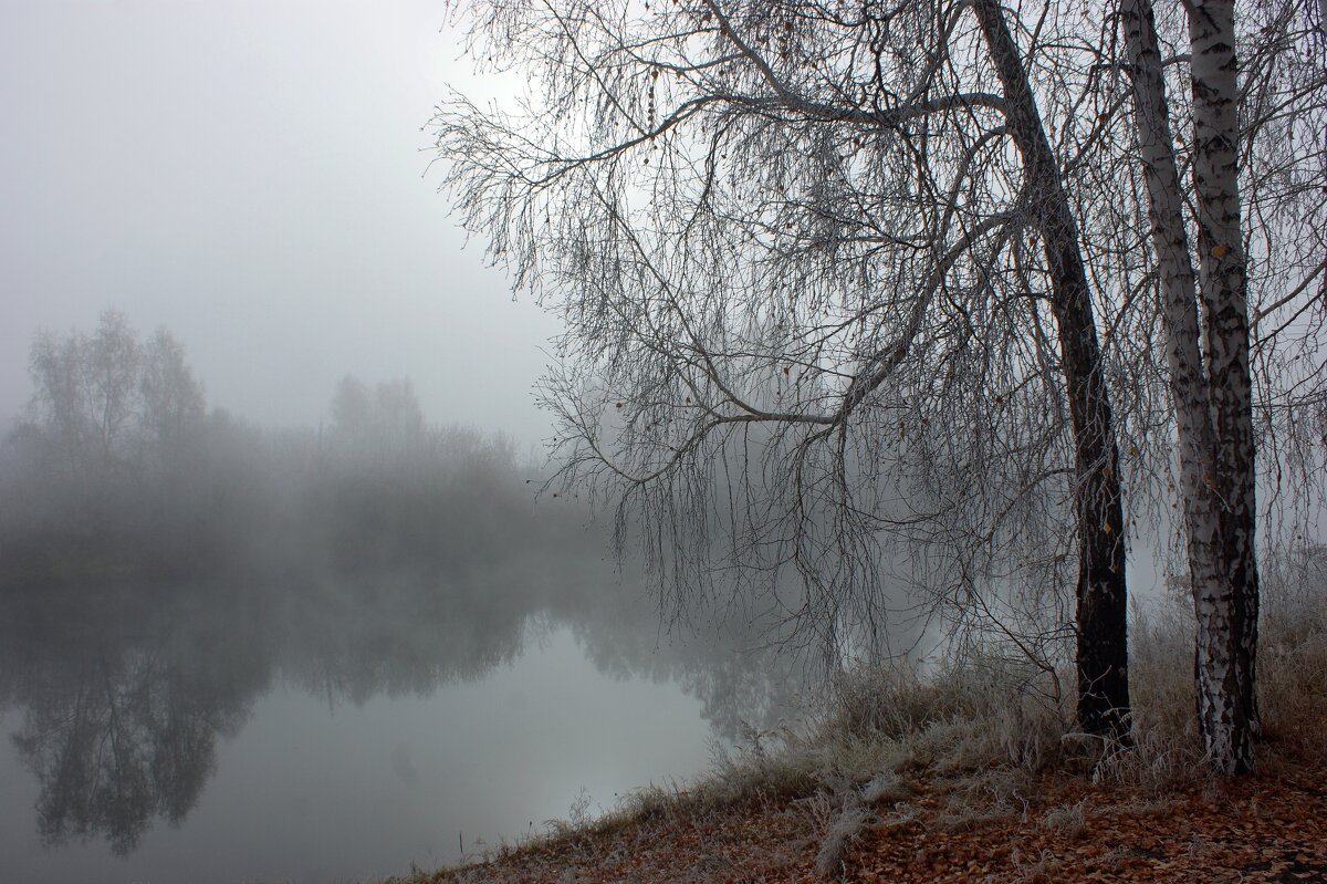 Туманный рассвет на реке Карасук - Галина Нестратова Туманный рассвет на реке Карасук - Галина Нестратова