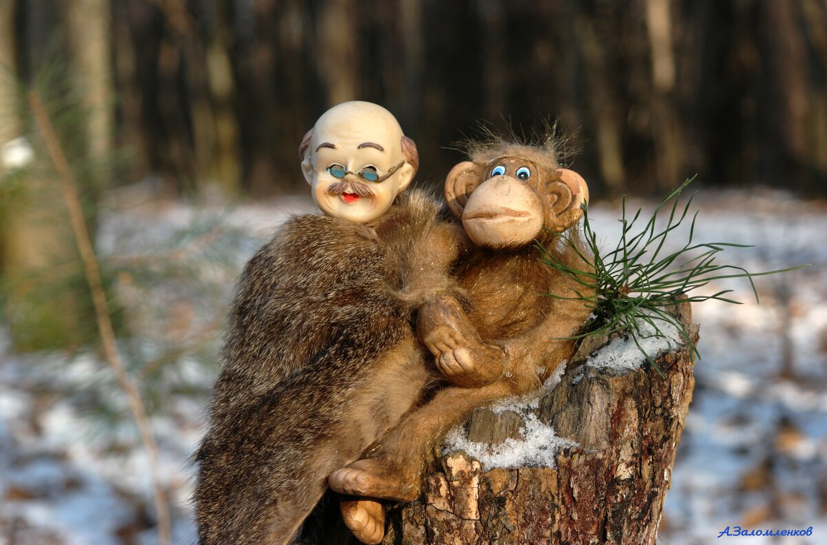 Ну что, Люська, придётся тебя в лесу оставить, на одну пенсию нам вдвоём не прожить... - Андрей Заломленков