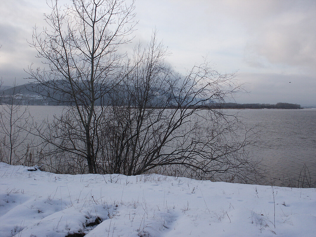 Волга в декабре - MILAV V