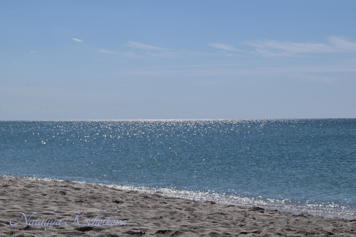 Природа Крыма - Amazing Cosmea