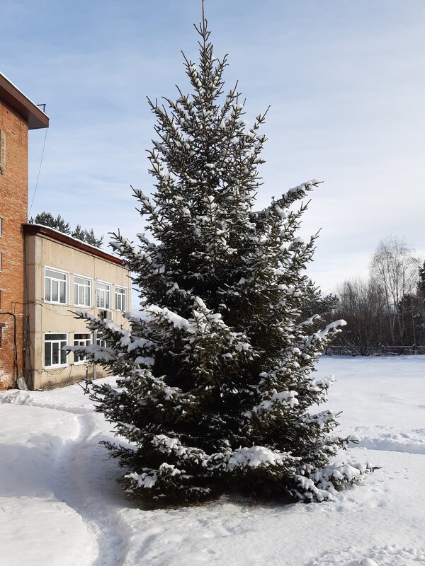 Новогоднее настроение - Галина Минчук Новогоднее настроение - Галина Минчук