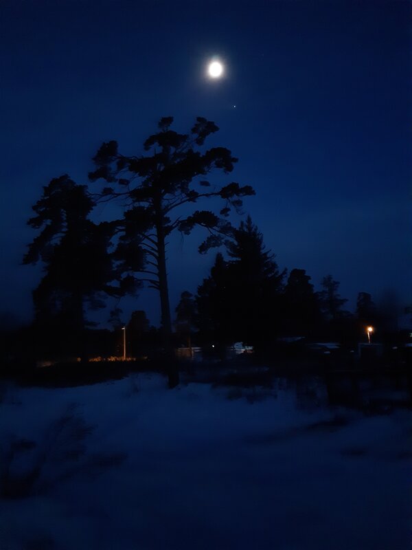 Новогоднее настроение - Галина Минчук Новогоднее настроение - Галина Минчук