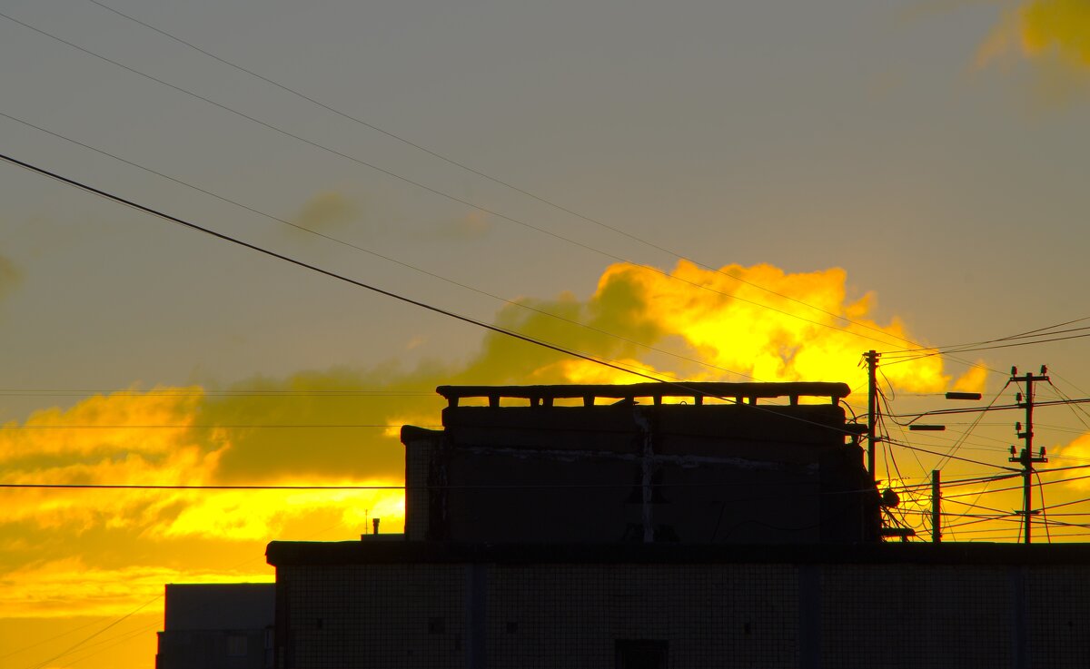 Солнце ВСТАЛО ! - Юрий Куликов Солнце ВСТАЛО ! - Юрий Куликов