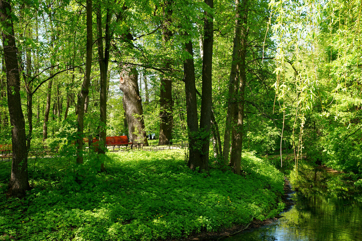 Кузьминский парк - Игорь Белоногов Кузьминский парк - Игорь Белоногов