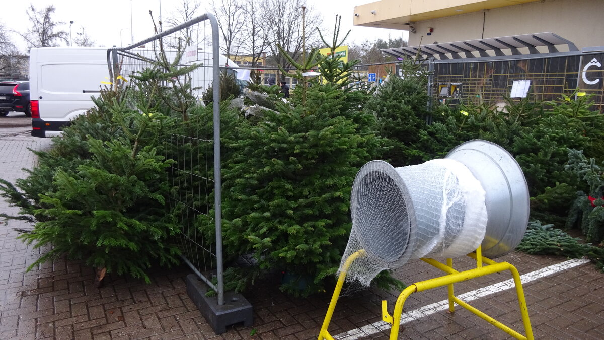 Особенности литовской зимы - rimgis Особенности литовской зимы - rimgis