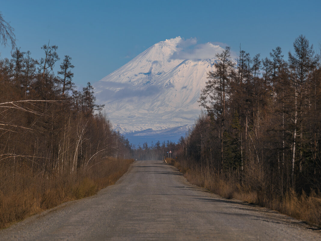 ... - Жора Житников ... - Жора Житников