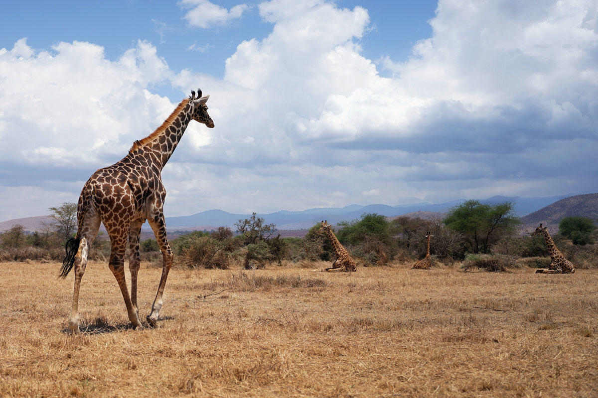 *** - Liliya *** - Liliya