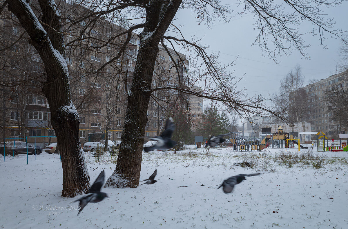 Зимний день во дворе - Александр Синдерёв
