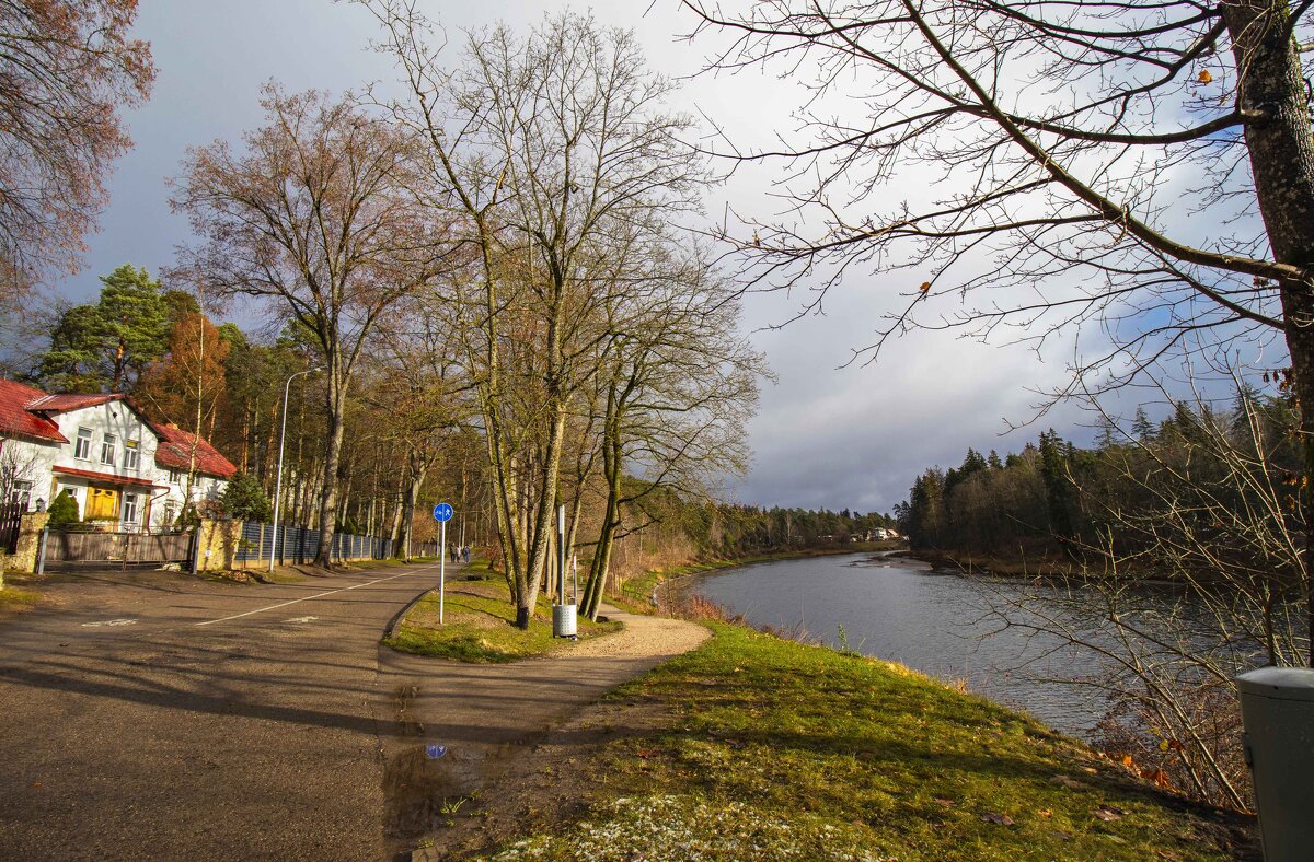 Б/Н - Николай 